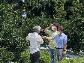 “우수한 ‘진피’ 수급 위해 감귤 소비부터 해결해야”