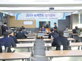 2019 회계년도 정기감사