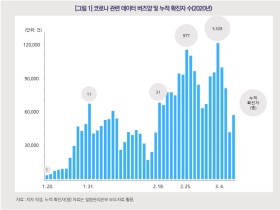 “31번 확진자 발생 후 코로나19 관련 데이터양 급증”