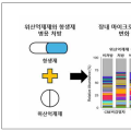 위산억제제·항생제 병용 투여, 다제내성균 감염 위험 증가