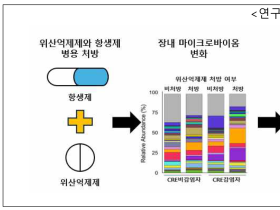 위산억제제·항생제 병용 투여, 다제내성균 감염 위험 증가