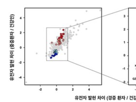 국내 코로나 바이러스 감염 유전자 ‘발굴’