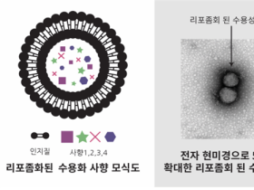 동서비교한의학회, 사향 수용화 공법개발 특허 완료