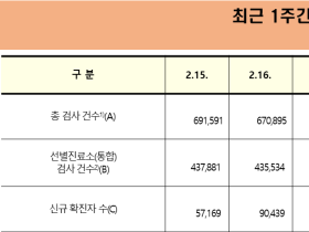 코로나19 신규 확진자 9만5362명