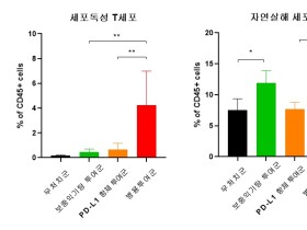 보중익기탕·면역항암제 병용시 항암효과 2.8배 ‘상승’