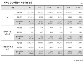 외국인 건보 부정수급 316억원…환수금액 51.7% 그쳐