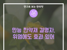 만능 한약재 결명자, 위염에도 효과 있어!