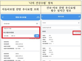 추나요법 횟수 실시간 제공 등 진료정보 조회