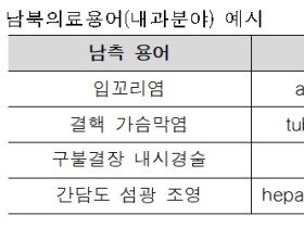 심평원, 내과 분야 ‘남북의료용어집’ 발간 공개