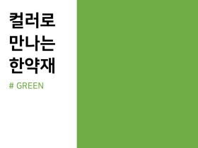 컬러로 만나는 한약재, GREEN편