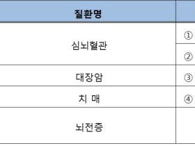 AI 의사 ‘닥터앤서’ 글로벌 진출 첫발