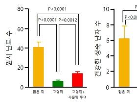 사물탕의 난임 예방·치료 효능 및 작용기전 ‘규명’