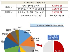 “환자 치료비용은 늘면 안되고, 자동차 수리비용은 늘어도 되는가?”