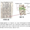 침금동인으로 복원한 내의원 표준경혈5