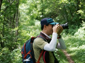 “발걸음 멈추게 한 첫 야생화, 꽃뿌리가 ‘태자삼’이었죠”