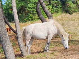 고전에서 느껴보는 醫藥文化-21