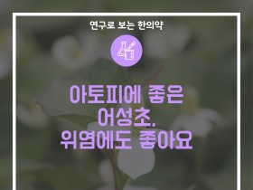 아토피에 좋은 어성초, 위염에도 좋아요