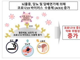 뇌졸중‧당뇨환자‧흡연자가 코로나19에 취약한 원인 규명돼