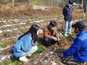 농촌진흥청, 약용작물 ‘천궁’ 기후변화 대응 실증시험 추진