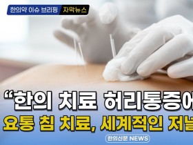 [자막뉴스] 요통 침 치료, 세계적인 저널에 발표! "한의 치료 허리통증에 탁월"