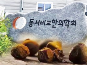 동서비교한의학회 “우담으로 우황 조제 성공”