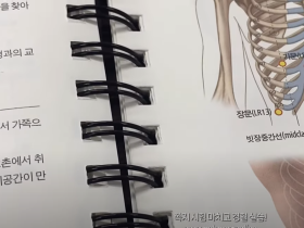 [전한련 브이로그] '나의 한의대 일지'