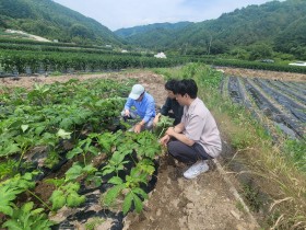 여름철 장마, 폭염···고품질 한약재 생산 기반 마련