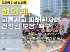 [한의약 이슈 브리핑] 한의계, 교통사고 피해환자의 건강권 보장 ‘촉구’