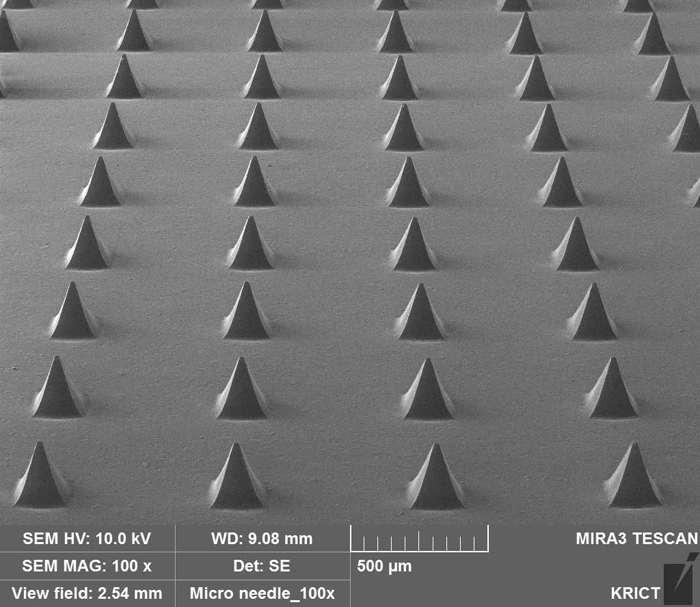 첨부사진 1. 마이크로 니들 패치 SEM(주사전자현미경) 사진.jpg