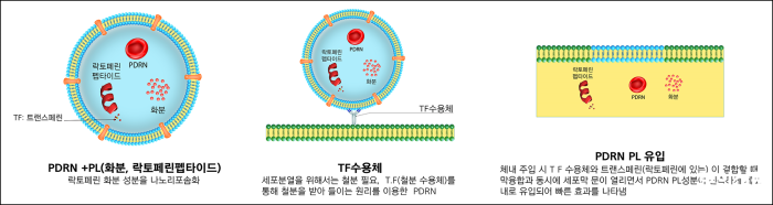 동서비교3 복사.png