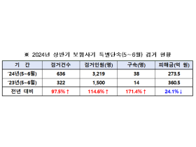 “보험사기 범죄 생태계 뿌리 뽑는다”