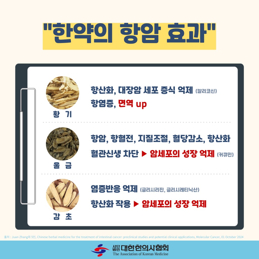 항암3.jpg