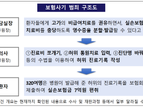 금감원·서울경찰청, 진료비 쪼개기 수법 이용한 보험사기 적발