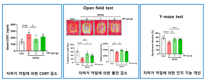 태반 (2).PNG