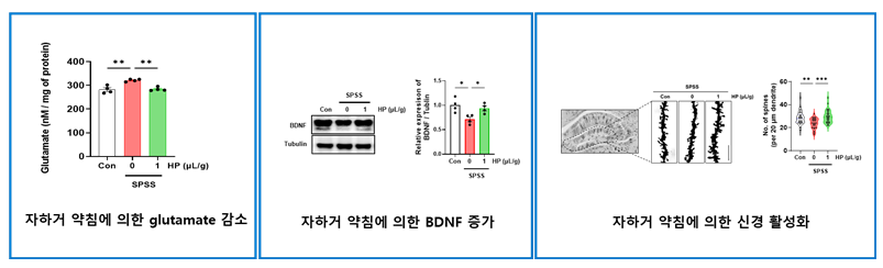 태반 (3).PNG