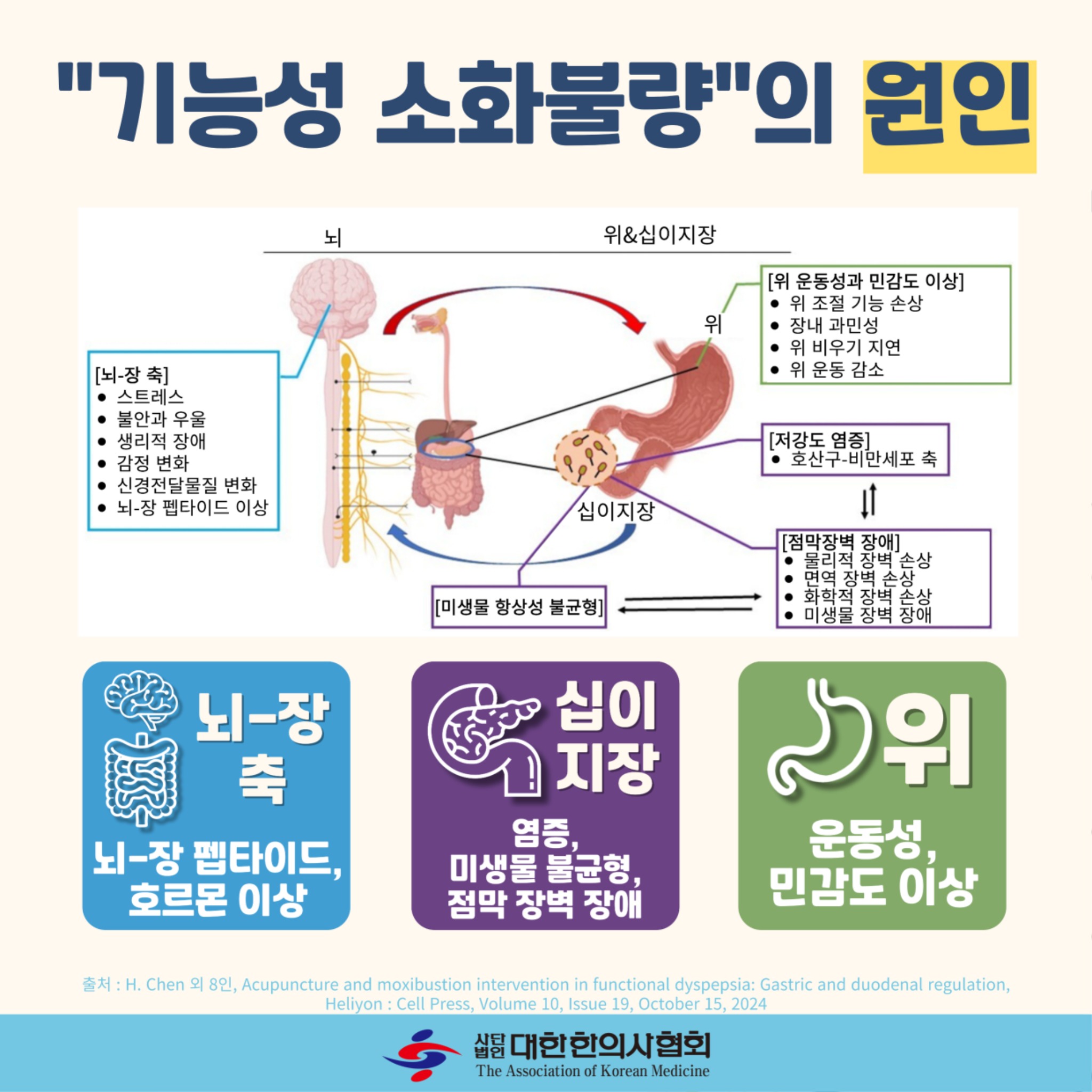 소화불량5.jpg