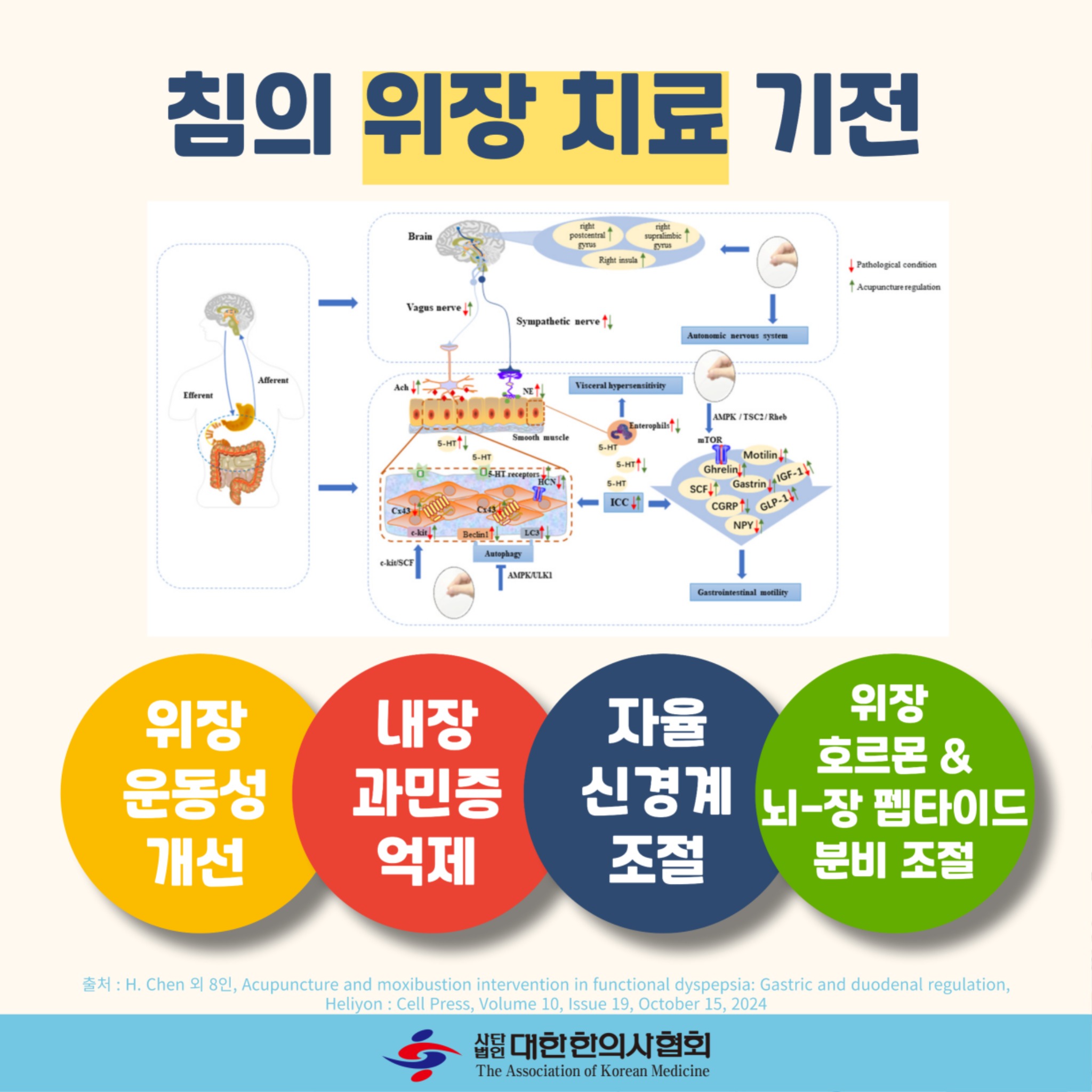 소화불량6.jpg