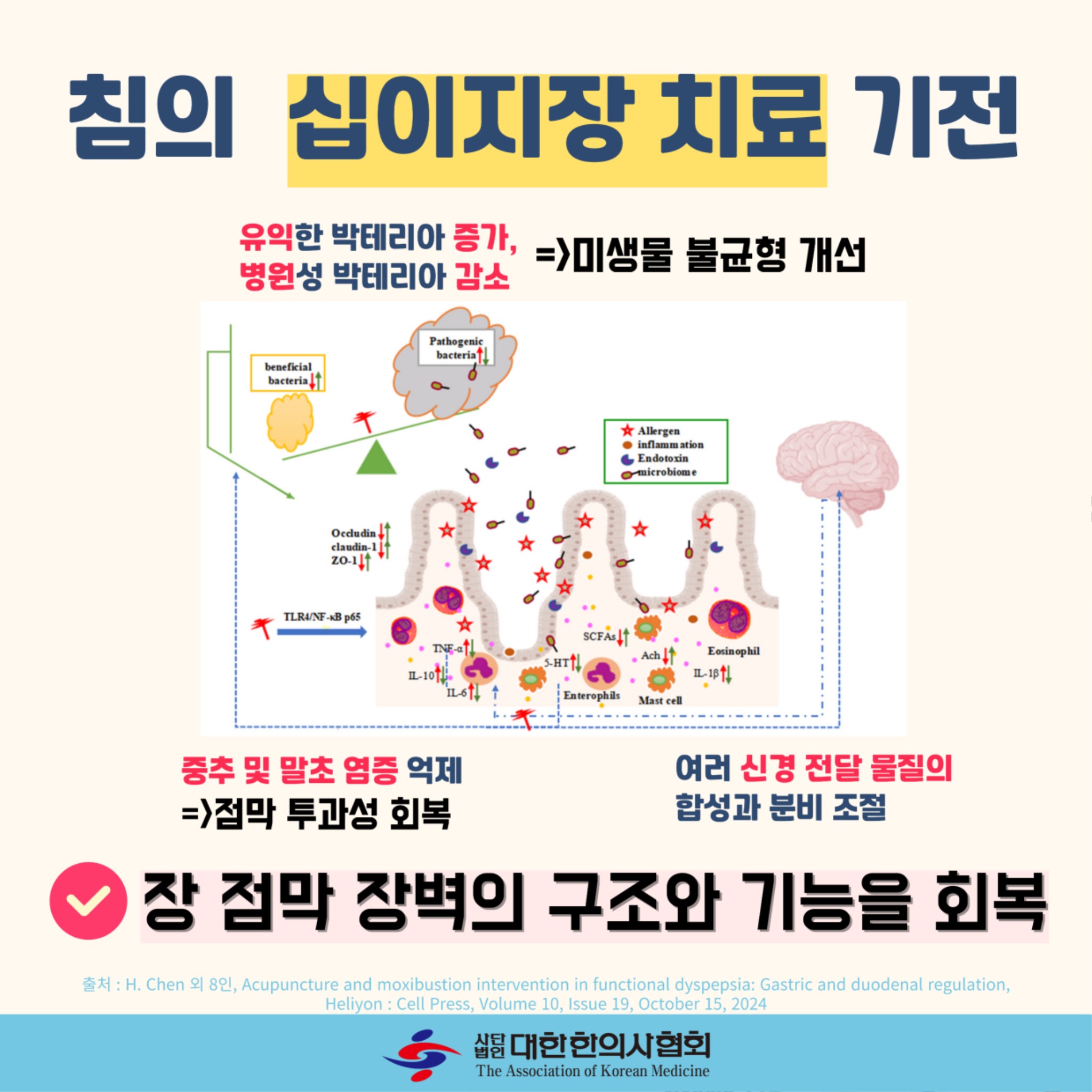 소화불량7.jpg