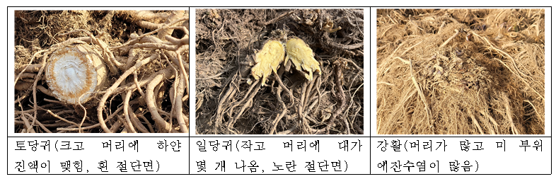 경희한약2.png