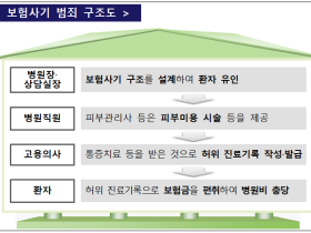 숙박형 요양병원의 조직적 보험사기 ‘적발’