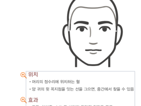 “한의약으로 관리하는 생활 속 건강관리 비법은?”