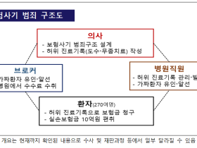 피부미용 시술을 도수·무좀 치료로 둔갑…보험사기 적발