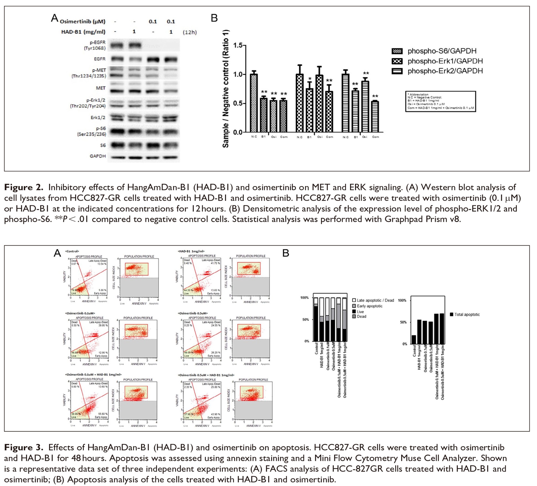 한약의 항암시너지2.jpg
