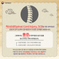 척수손상 환자의 한의학적 통증 관리법은?