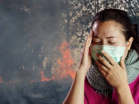 ‘산불’ 호흡기 질환만 아니라 심부전 질환에도 큰 위협