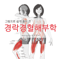 [신간] 그림으로 쉽게 풀어 쓴 경락경혈해부학