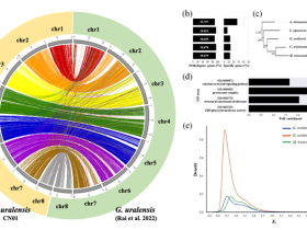 농진청, 유전체 해독으로 감초 품종 진화 실체 밝혀