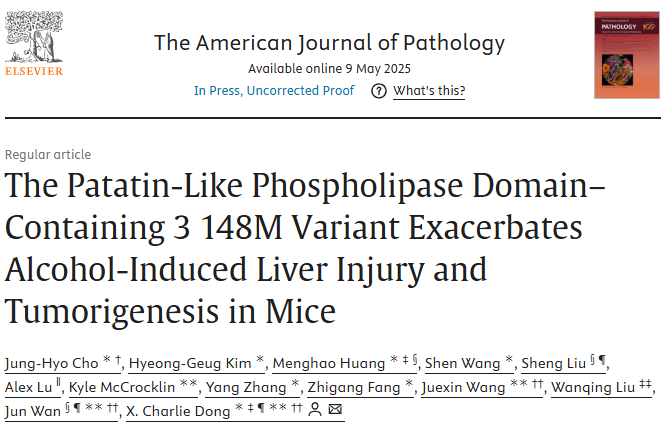 스크린샷 2025-06-04 130517.png