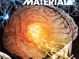 선명하고 안전하게 뇌 신호 실시간 측정 및 자극 성공