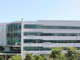 “자동차보험 경상환자의 8주 초과 치료 여부,  보험사의 ‘셀프심사’에 맡기는 것이 옳습니까?”